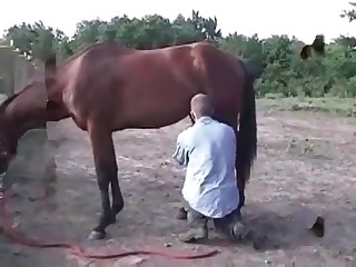 mad japanese animal sex