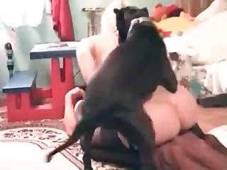 animals horsecock animalsex