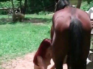 beastality sex pics free porn