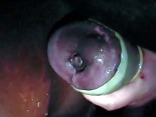 masturbation with big cat porn movies