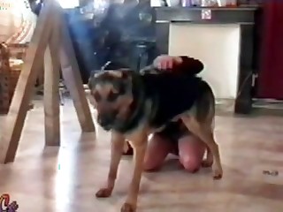 free beast fucking stories porn movies