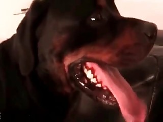 her sexual beauty is taming his inner beast movies