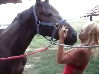 bestiality dog sex videos movies