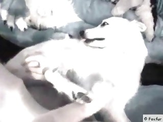 Amazing doggie is absolutely ready for fucking