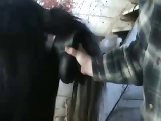 Great sexual game with tons of passion and handsome horses