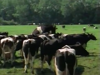 Awesome beasts are fucking without limits