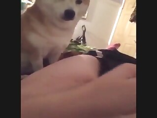 Dude is going to feed his dick to a kinky mutt