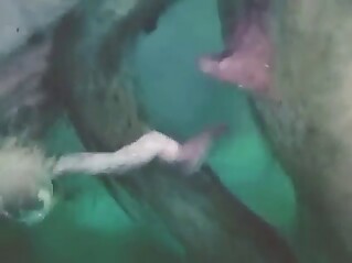 Zoophile porn with pigs that mate endlessly