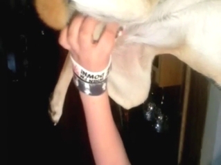 Zoo sex oral with a brunette who blows a doggo