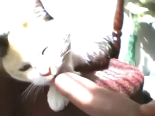 Zoo XXX with a cat playing with his nice cock