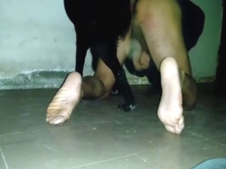 Bestiality porn with black dog knotting that slut