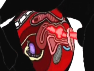 Zoophile animation with a dog hitting prostate