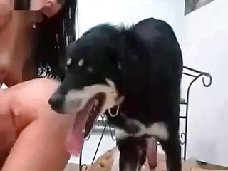 mpeg holland beastiality sex free porn