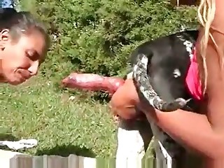 girls having sex wit animals